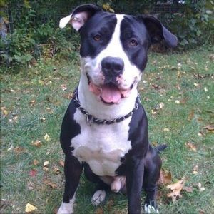 Meet your Posher, Elijah